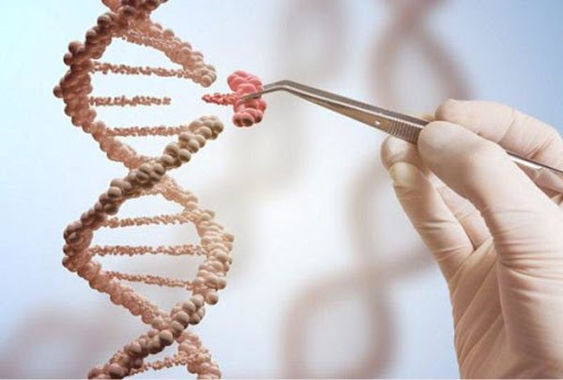 شناخت سرطان| آزمایش ژنتیک